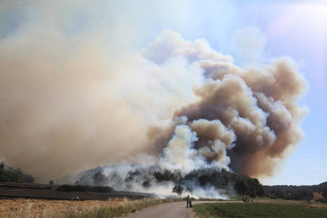 Çanakkale'deki Tarihi Alan'ın güney hattı ziyarete açıldı! Orman yangınında kapatılmıştı - Resim: 68